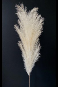**NEW**41" x 20" OATMEAL SYNTHETIC FEATHERS [FF2429]